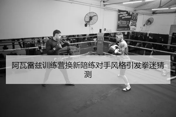 阿瓦雷兹训练营换新陪练对手风格引发拳迷猜测